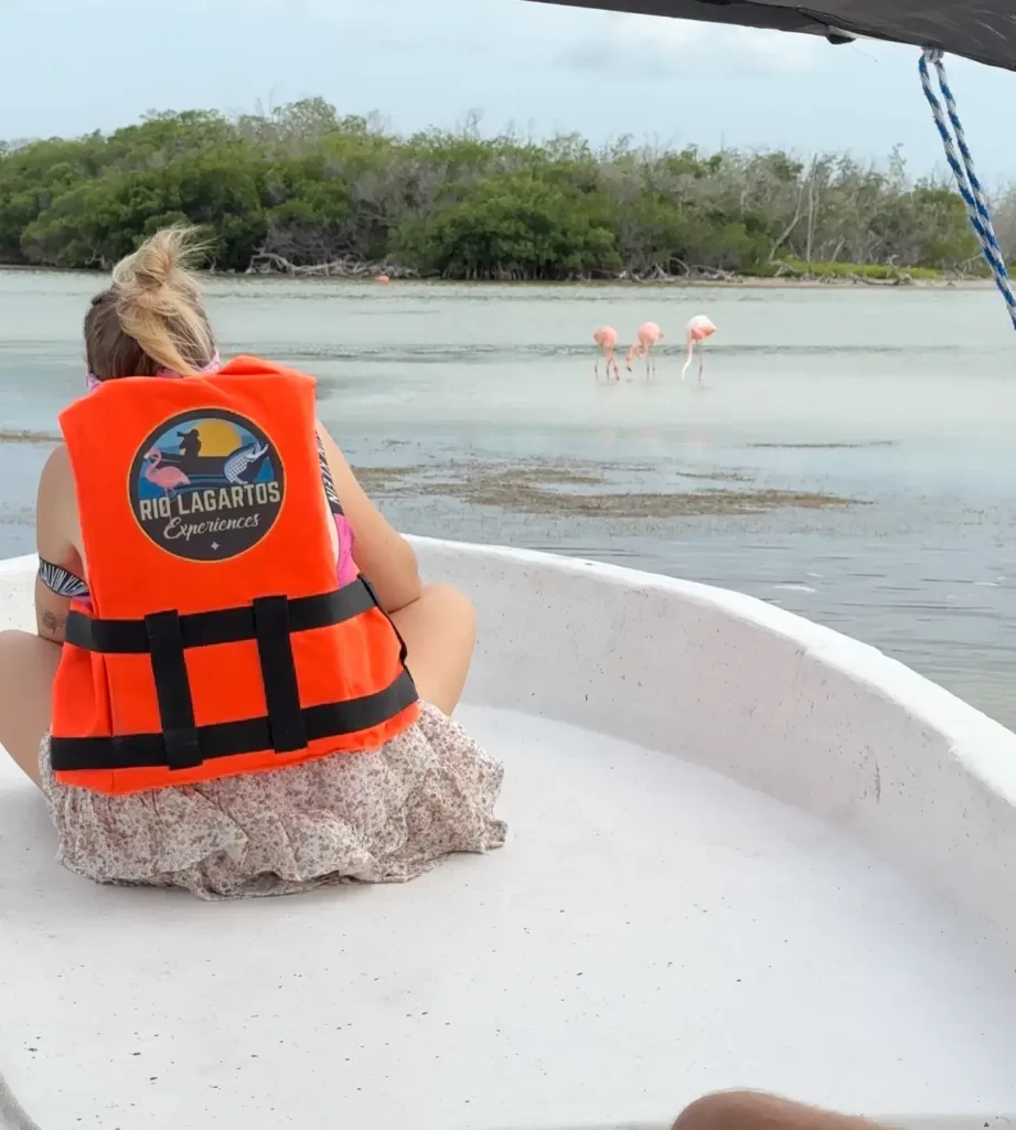 rio lagartos natural reserve yucatan (24)