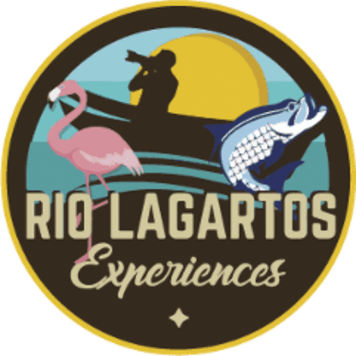 cropped-Rio-Lagarto-Expeerience-Logo.png