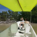 AVISTAMIENTOS-DE-AVER-EN-RIO-4-1024x768