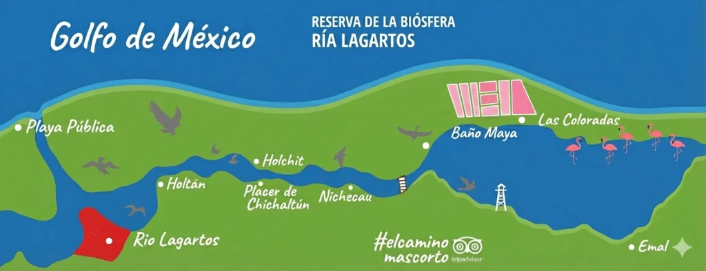 Reserva de la biosfera de ria lagartos