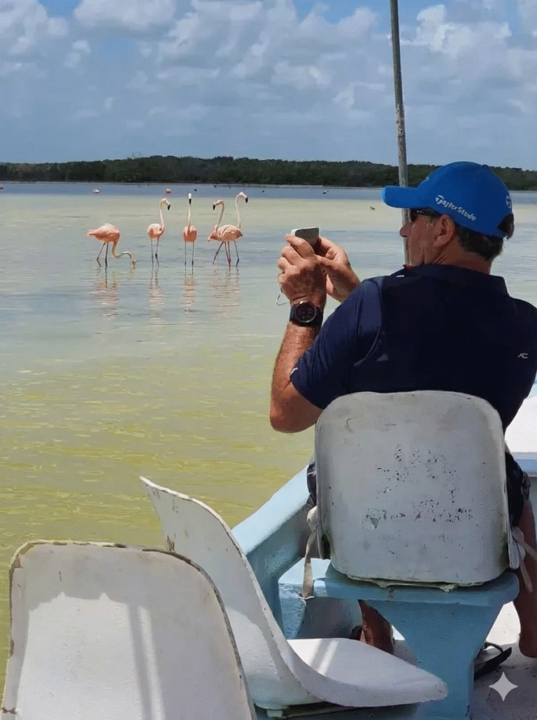 avistamientos de aves rio lagartos