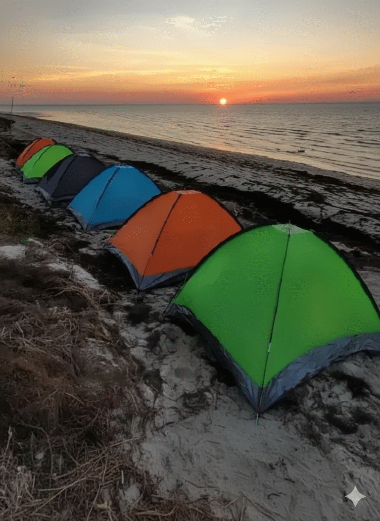 campamentos en rio lagartos