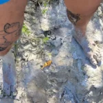 naturalovers-tour-rio-lagarto-experience (3)