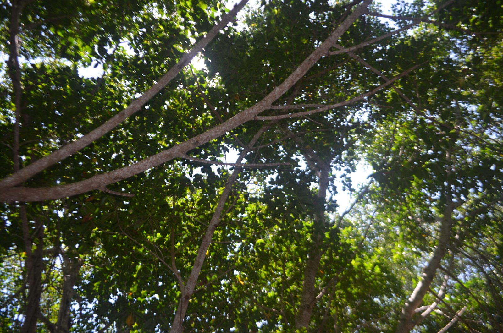 ria lagartos 196 scaled Rio Lagartos Experience By Jorge