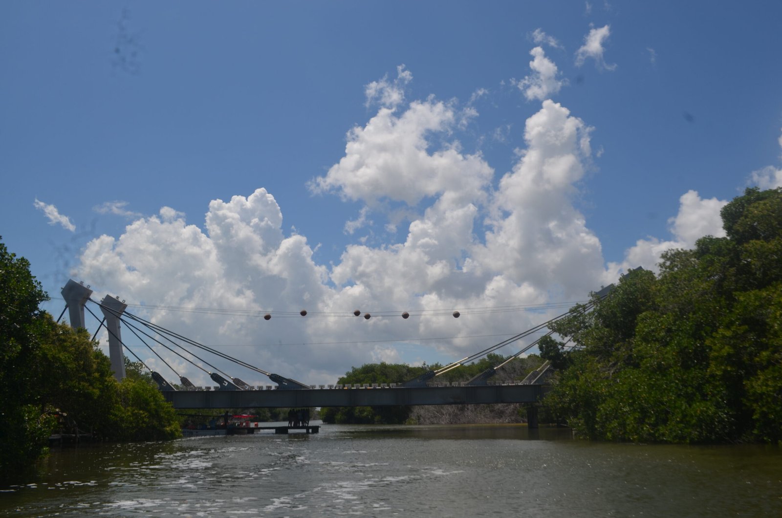 ria lagartos 214 scaled Rio Lagartos Experience By Jorge