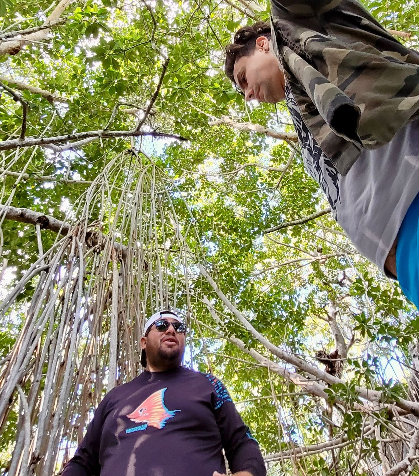 Especializados en tours