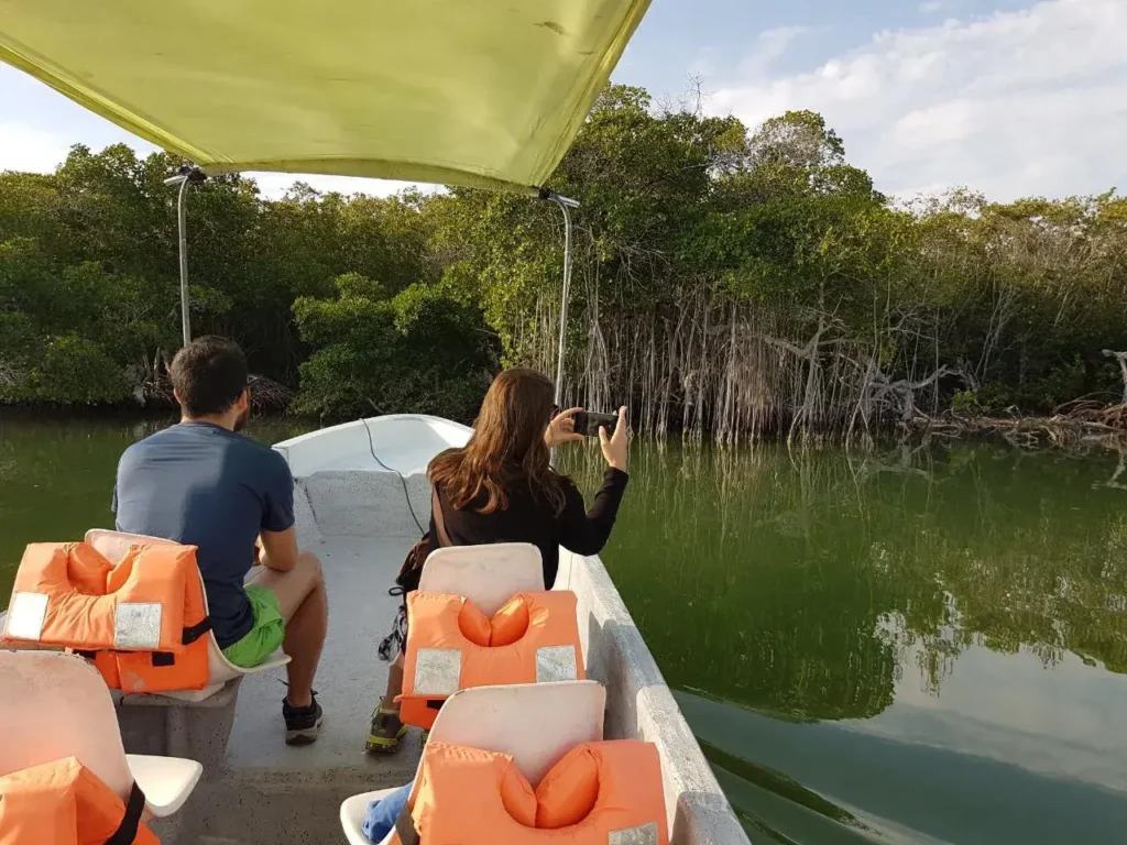Pareja de viajeros fotografiando el manglar desde la lancha equipada del tour