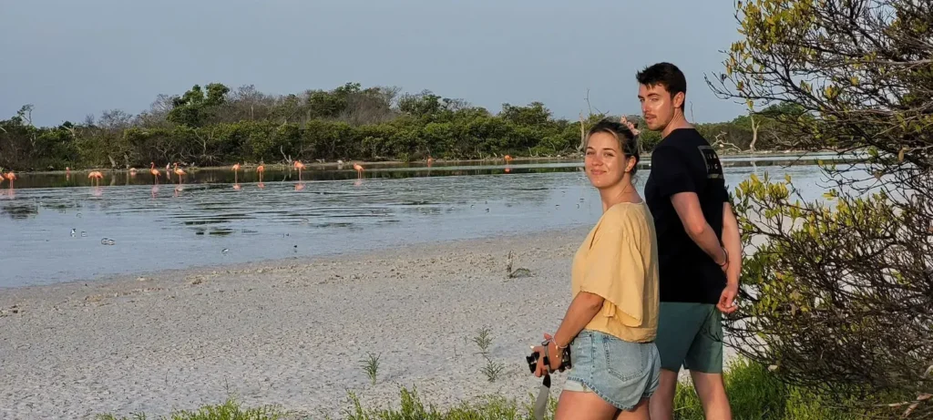 Boat tour through the mangroves of the R&iacute;a Lagartos Biosphere Reserve