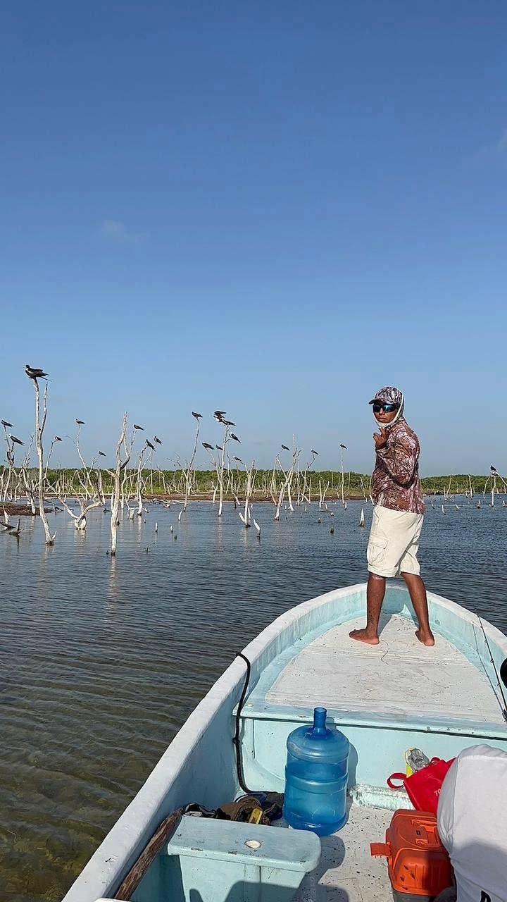 Naturalist tour among mangroves and calm waters of R&iacute;a Lagartos during the Experience Tour by Jorge