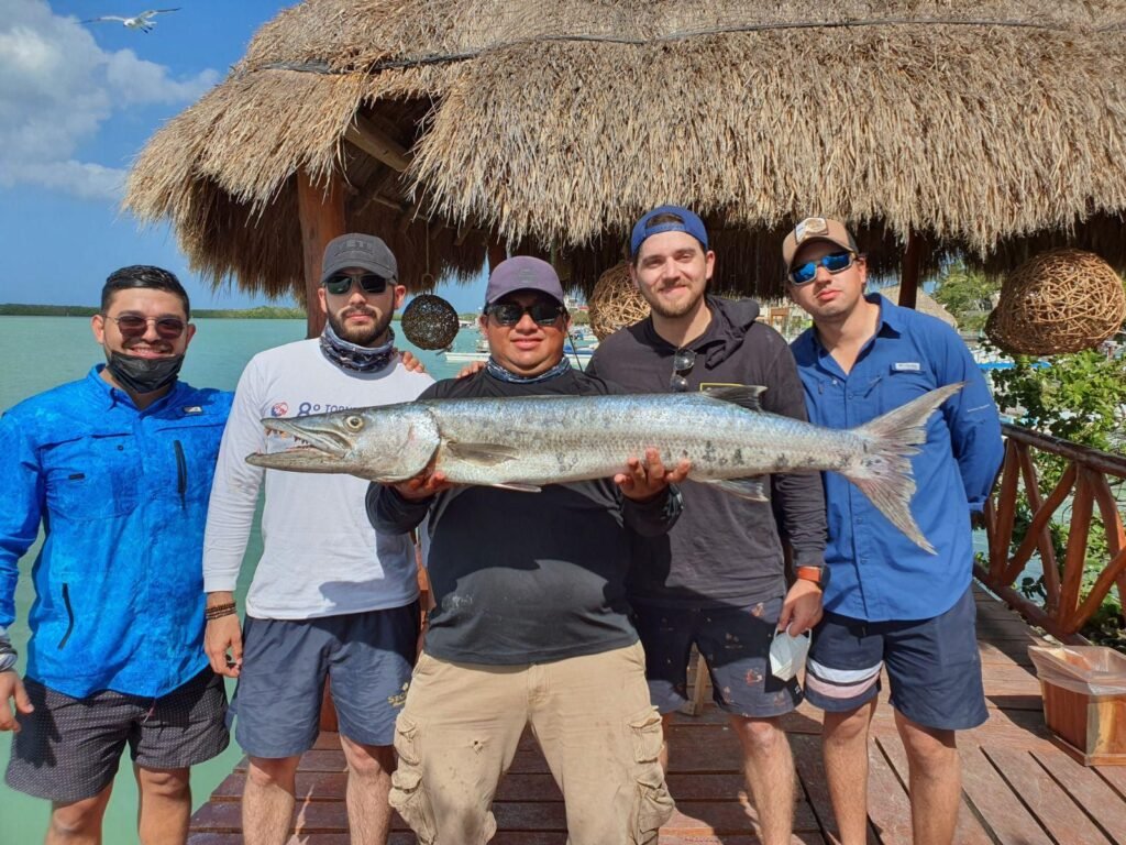 Barracuda (2)