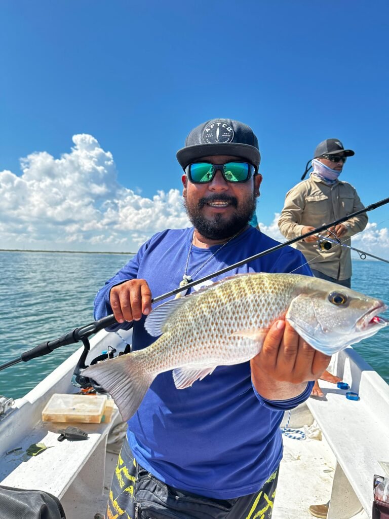 Snapper