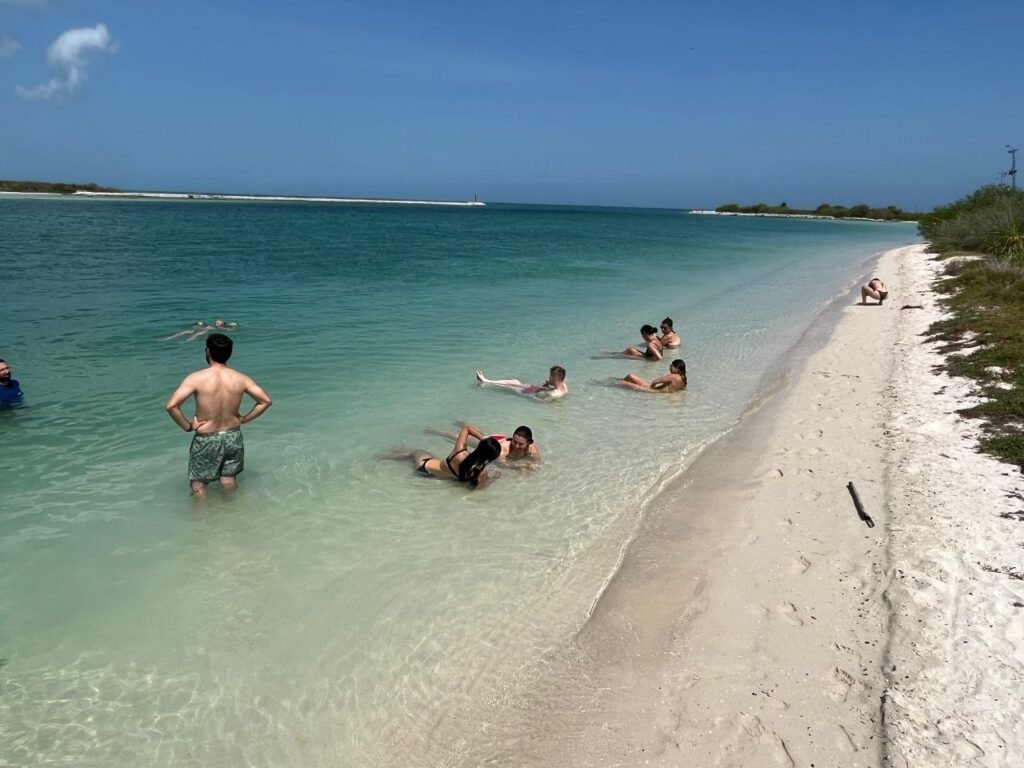 beach rio lagartos